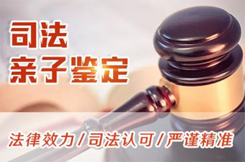 北京司法DNA亲子鉴定如何办理,北京司法亲子鉴定费用一般要多少钱